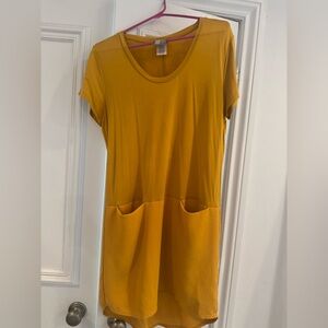 Anthropologie Loren Tunic Dress by Dolan Left Coast